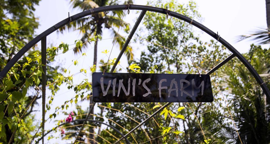 Vinis Farm - A Private Island Stay -Privacy Redefined !!! Mundrothuruth Ngoại thất bức ảnh